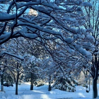 324884526_2191552904359038_5268611265850172333_n