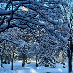 324884526_2191552904359038_5268611265850172333_n