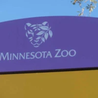 542218_392442507495282_1547161380_n