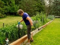 Website-pic-Garden