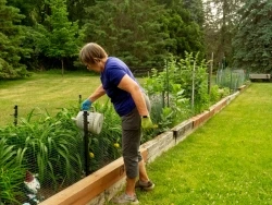 Website-pic-Garden