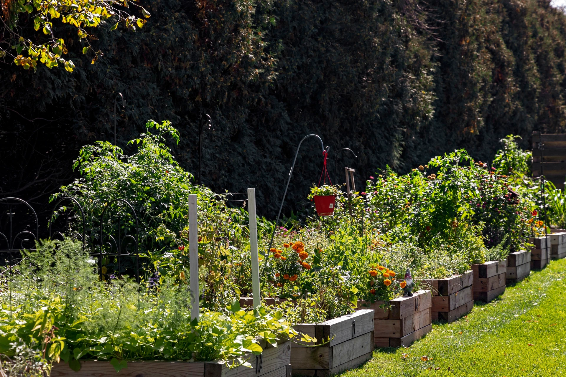 Ridgepointe of Minnetonka | Exteriors and Aerials - 12600 Marion Ln W, Minnetonka, MN 55305