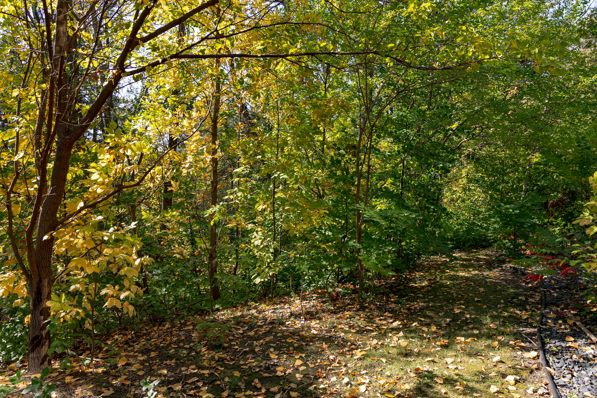 Ridgepointe of Minnetonka | Exteriors and Aerials - 12600 Marion Ln W, Minnetonka, MN 55305